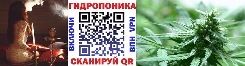 Где купить Дубовка Alpha-PVP  кракен ONION  Меф мяу мяу  Псилоцибиновые грибы  КОКАИН  Экстази  ГАШИШ  Каннабис 