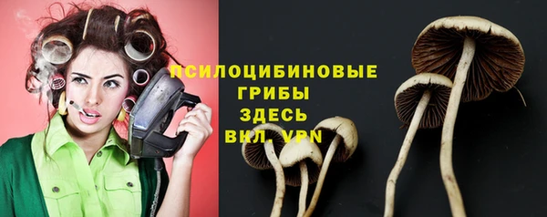амф Алзамай