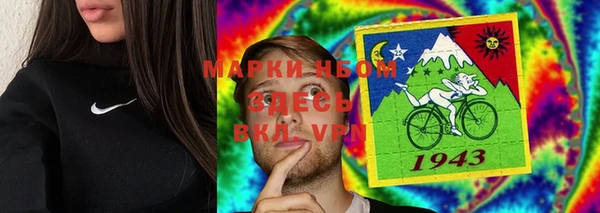 амф Алзамай