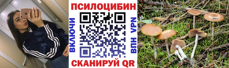даркнет состав  Дубовка  Галлюциногенные грибы мицелий 